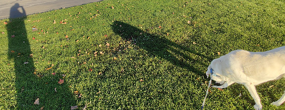 IMG_20211107_082427